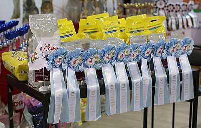   22-23  2014 WCF- 169A7929 copy.jpg